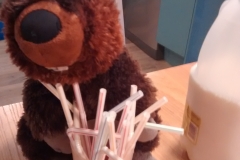 Horace enjoying his milk