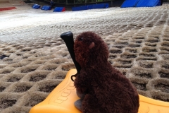 Horace and the 43rd go Tobogganing